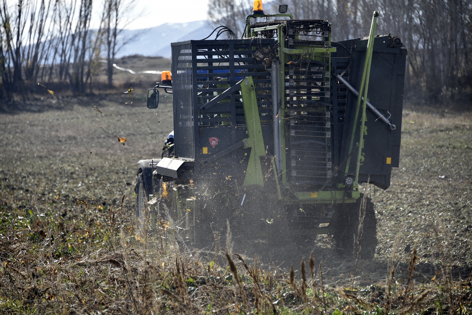 Gümüşhane’de şeker pancarı hasadı sıkıntılı başladı 7