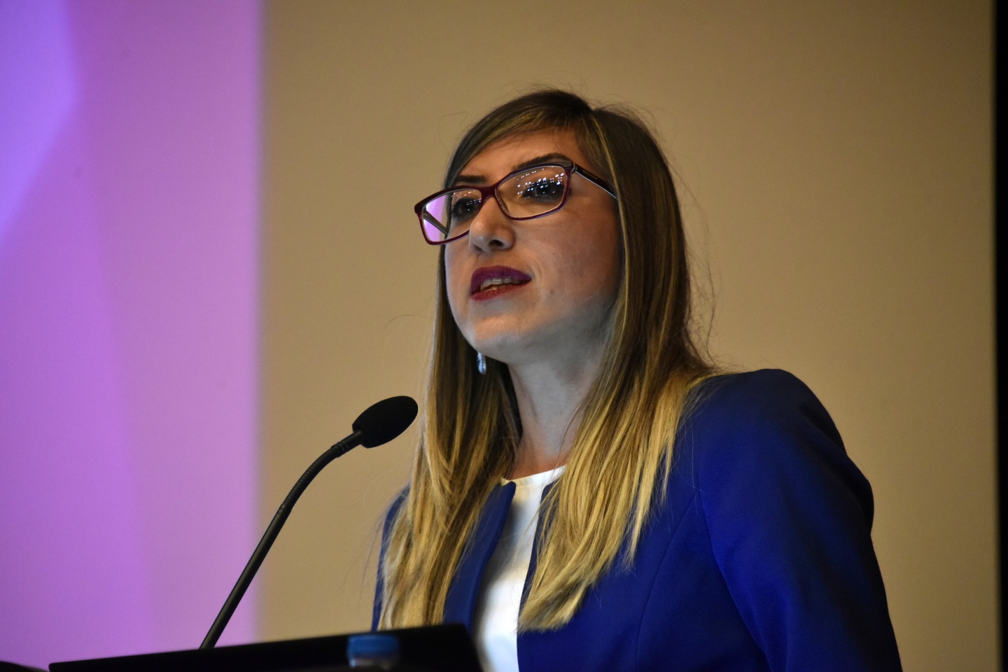 Gümüşhane’de 'Kazakistan ve Ahmet Yesevi' konulu konferans düzenlendi 3