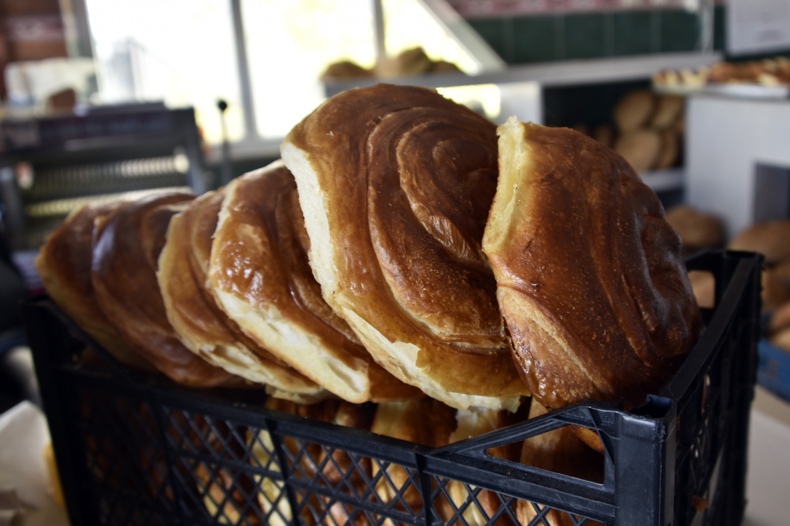 Kelkit ketesi yok satıyor 1