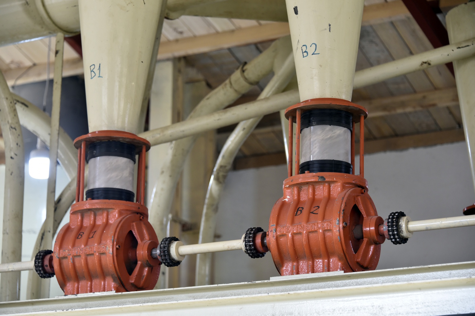 Türkiye’nin ilk karabuğday un ve bulgur tesisi Gümüşhane’de üretime başladı 5