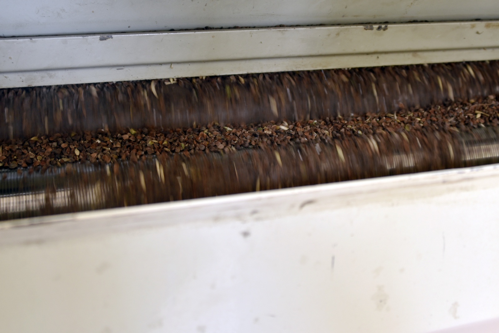 Türkiye’nin ilk karabuğday un ve bulgur tesisi Gümüşhane’de üretime başladı 6