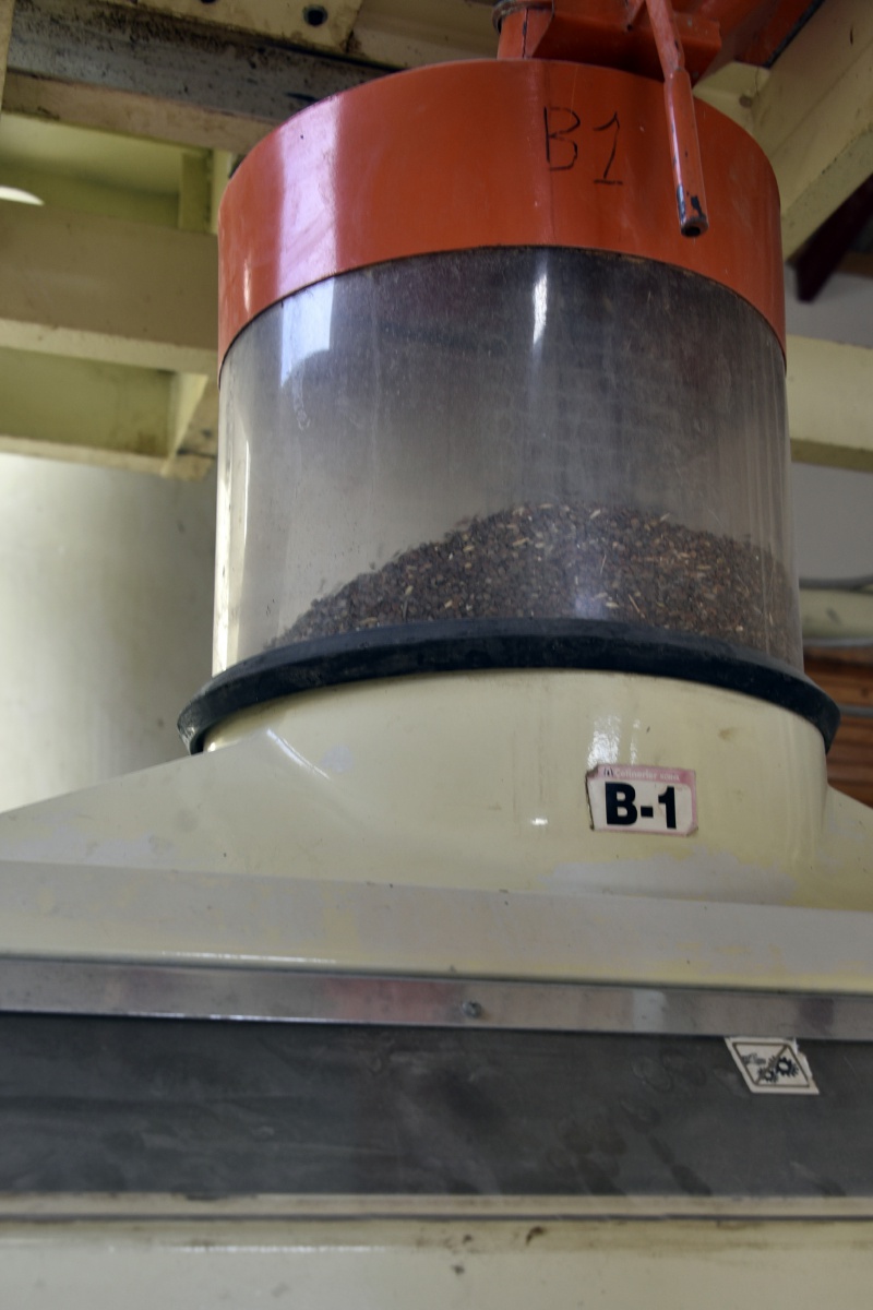 Türkiye’nin ilk karabuğday un ve bulgur tesisi Gümüşhane’de üretime başladı 9