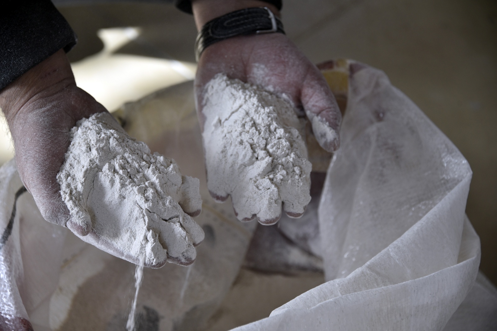 Türkiye’nin ilk karabuğday un ve bulgur tesisi Gümüşhane’de üretime başladı 3