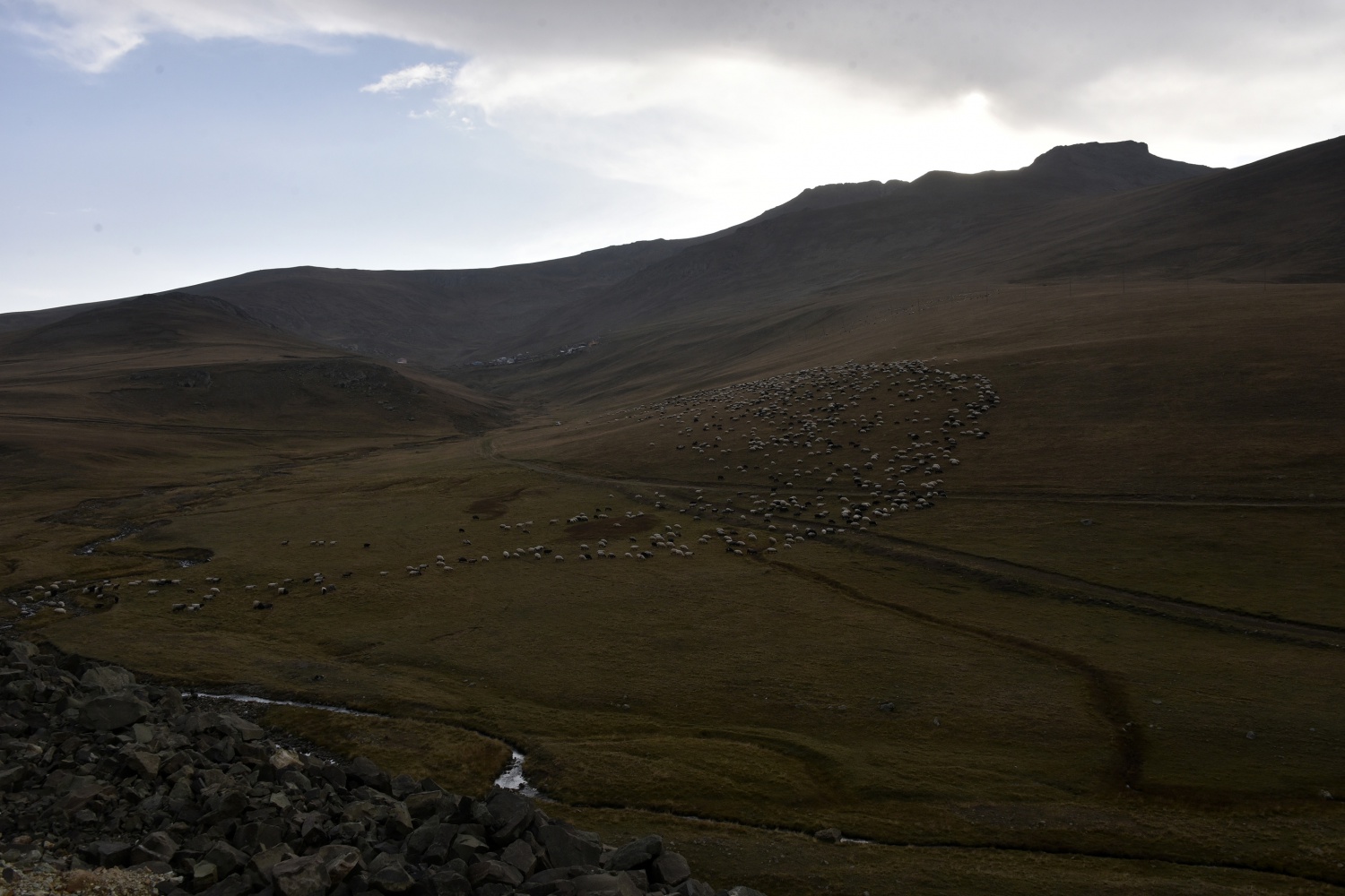 Uyanıklığın böylesi 11