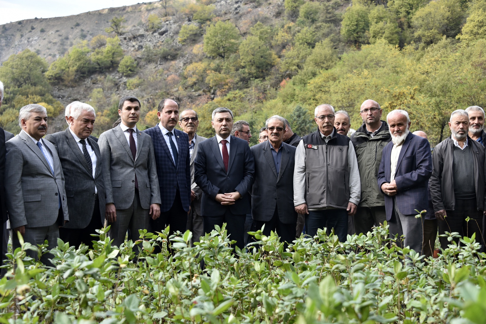 Kürtün süper meyve “Aronya” ile kalkınacak 6