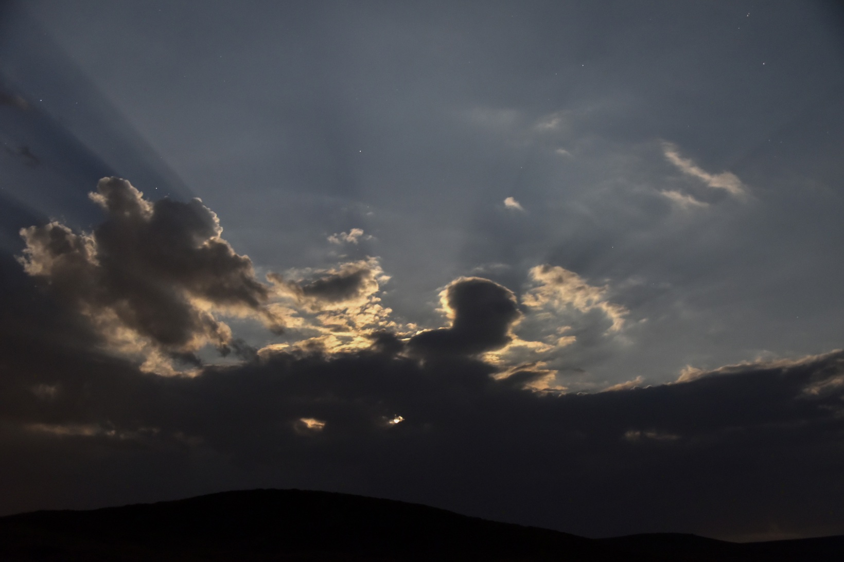 Mersinbalığı Ayı, Gümüşhane’de göz kamaştırdı 13