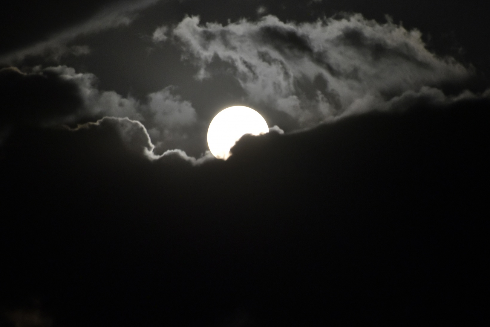 Mersinbalığı Ayı, Gümüşhane’de göz kamaştırdı 12