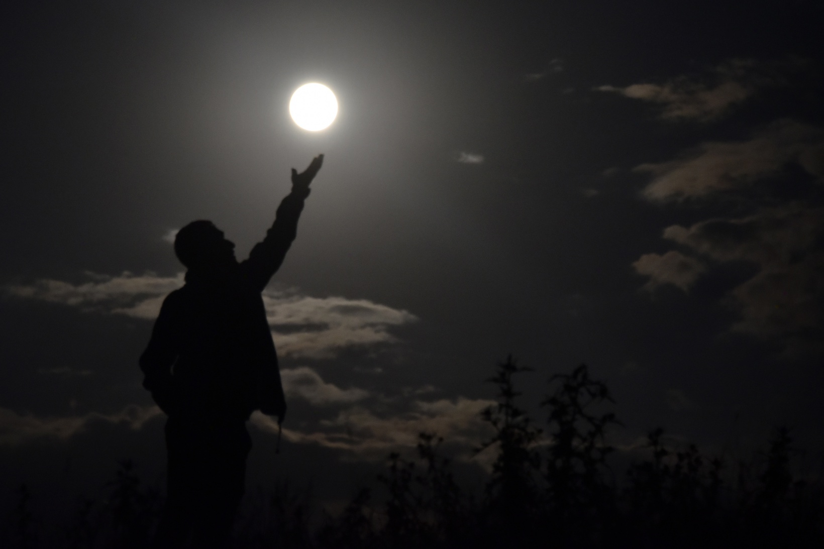 Mersinbalığı Ayı, Gümüşhane’de göz kamaştırdı 10