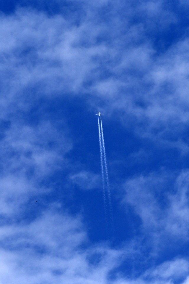 Gümüş evinde kral: 2-0 35