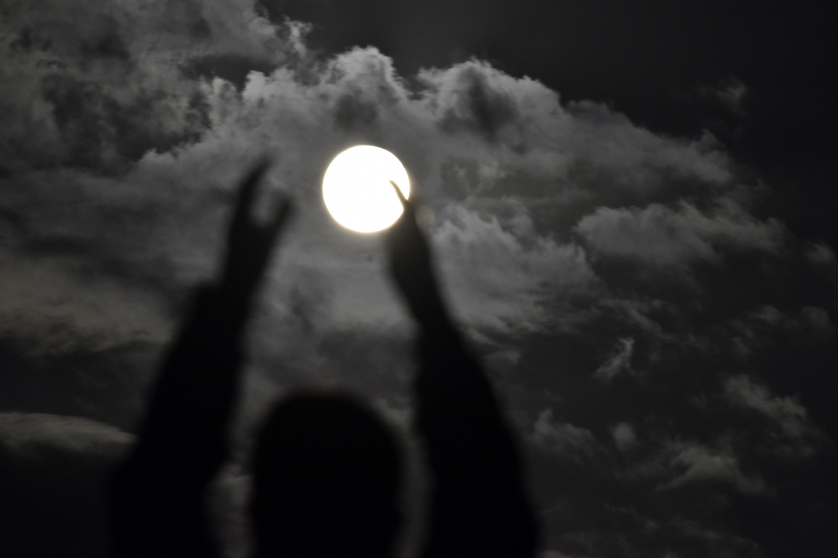 Mersinbalığı Ayı, Gümüşhane’de göz kamaştırdı 11