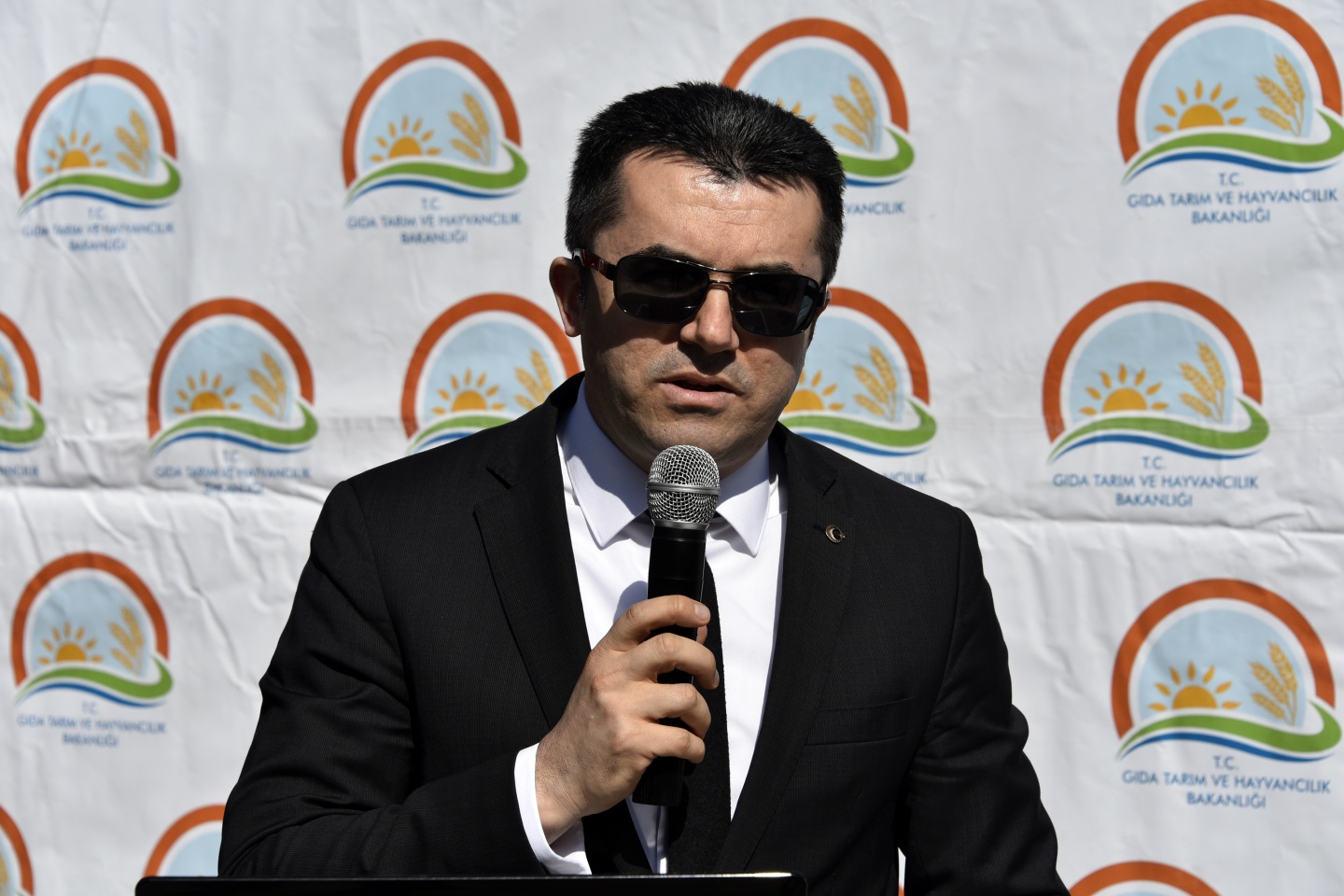 Gümüşhane’de 50 bin ceviz fidanının dağıtımına başlandı 1