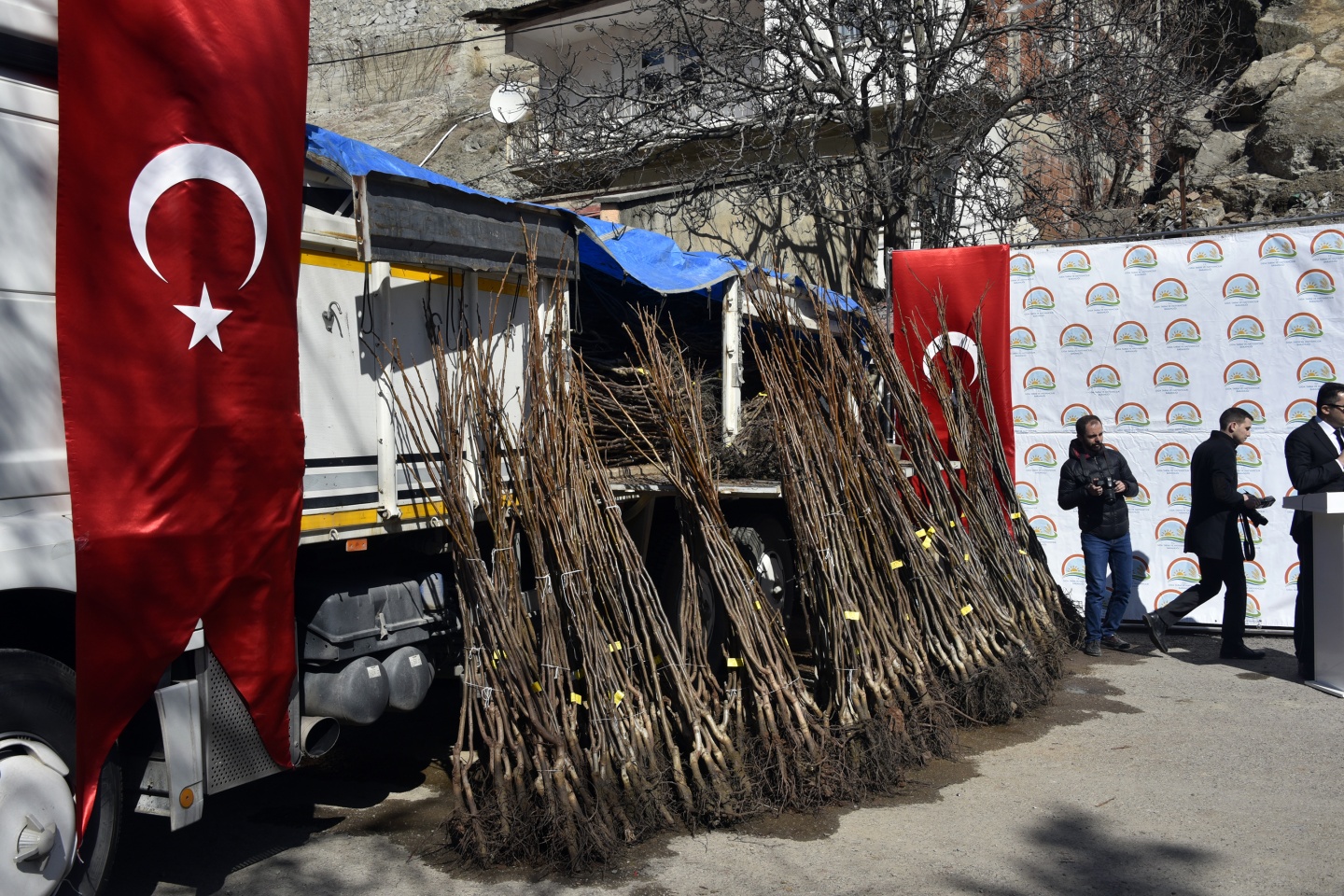 Gümüşhane’de 50 bin ceviz fidanının dağıtımına başlandı 4