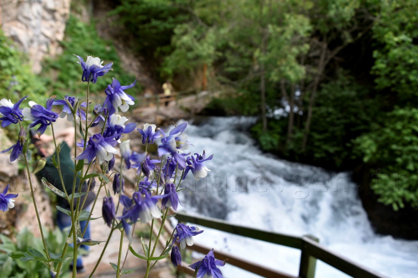 Tomara Şelalesi yeni bir çehre ve vizyon kazandı 17