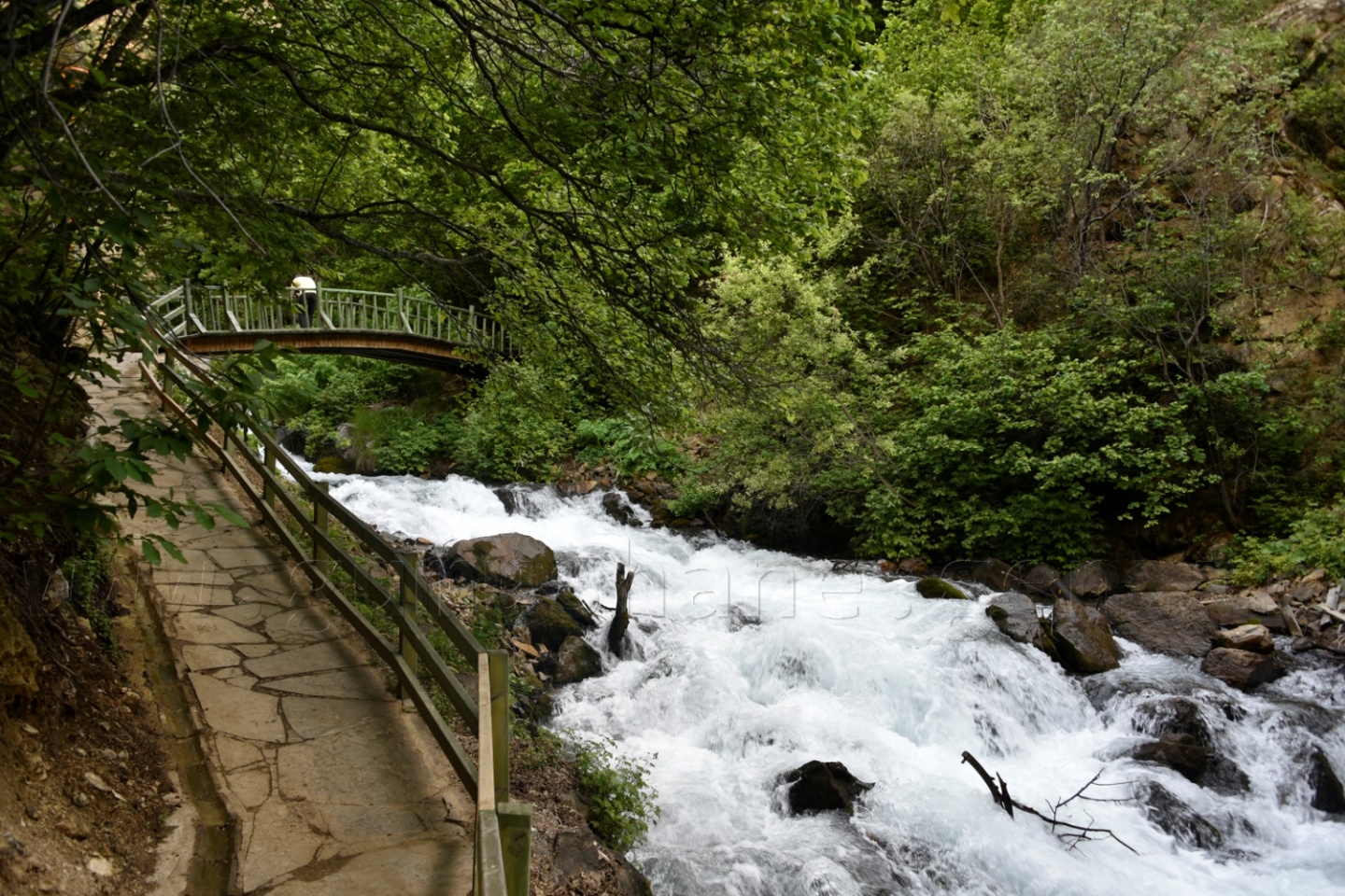 Tomara Şelalesi yeni bir çehre ve vizyon kazandı 34