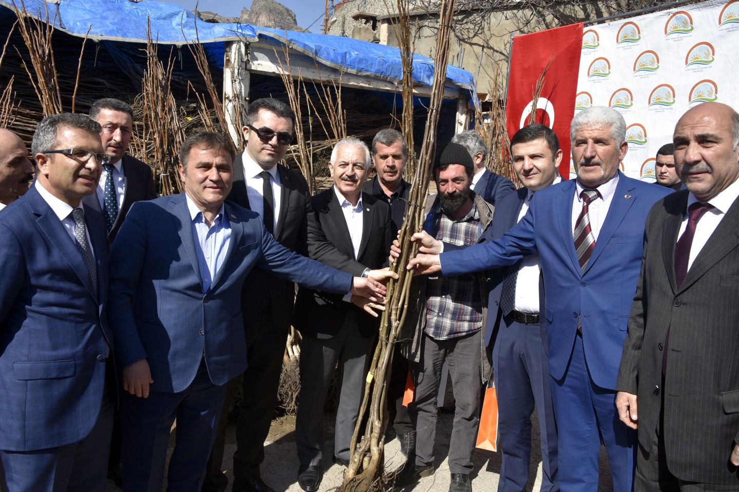 Gümüşhane’de 50 bin ceviz fidanının dağıtımına başlandı 9