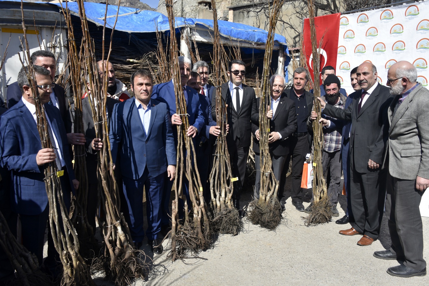 Gümüşhane’de 50 bin ceviz fidanının dağıtımına başlandı 18