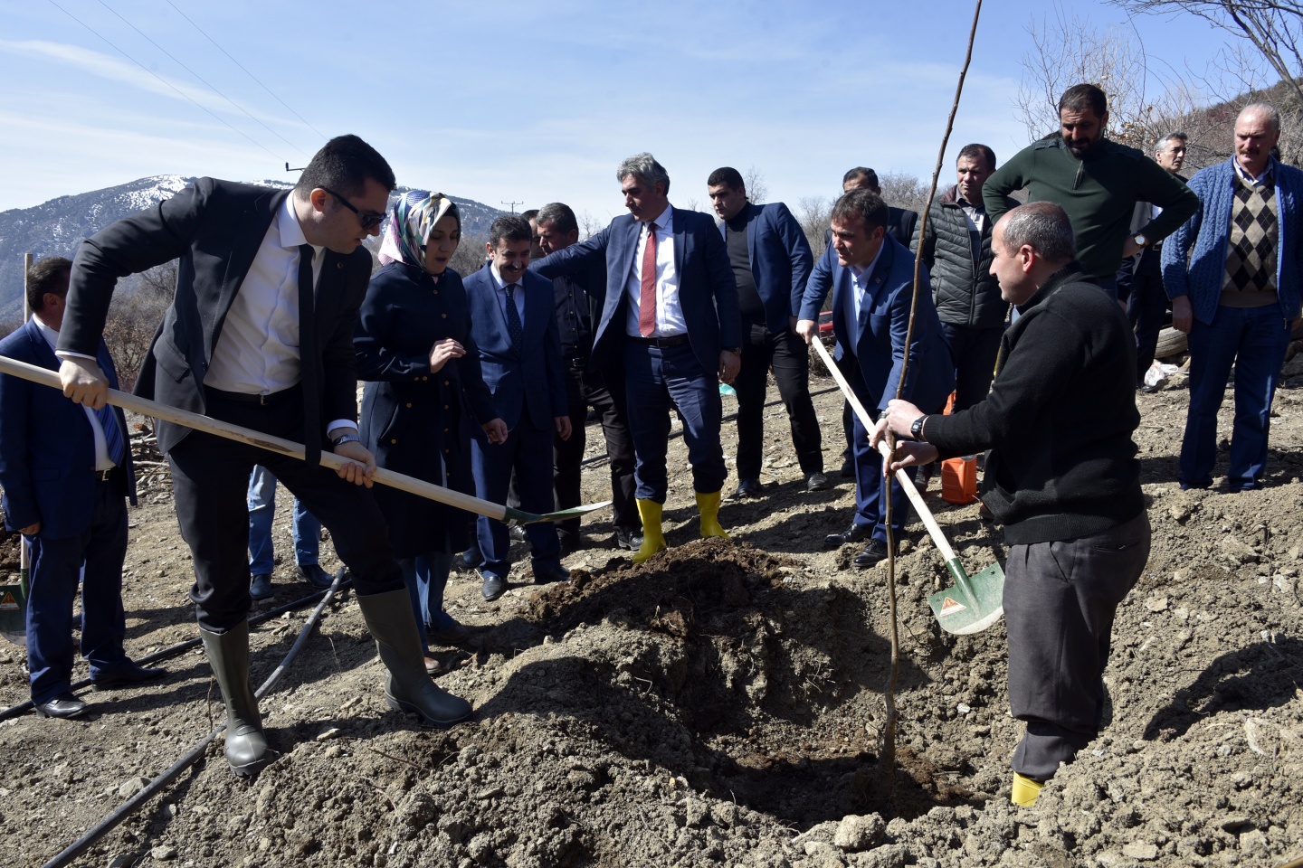 Gümüşhane’de 50 bin ceviz fidanının dağıtımına başlandı 29