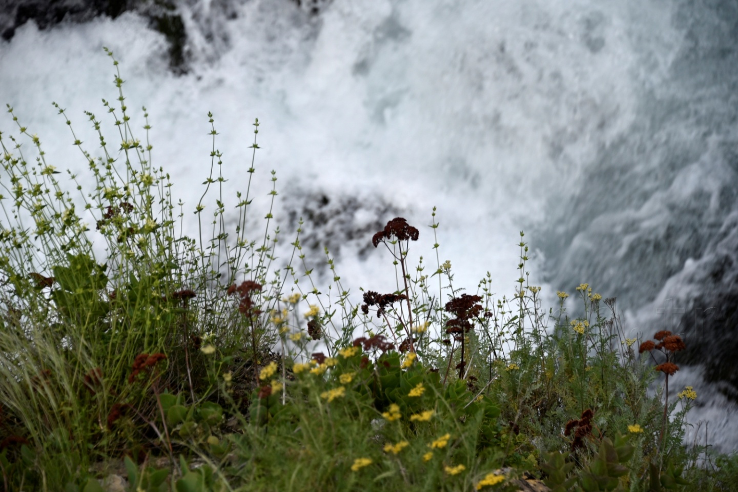 Tomara Şelalesi yeni bir çehre ve vizyon kazandı 20