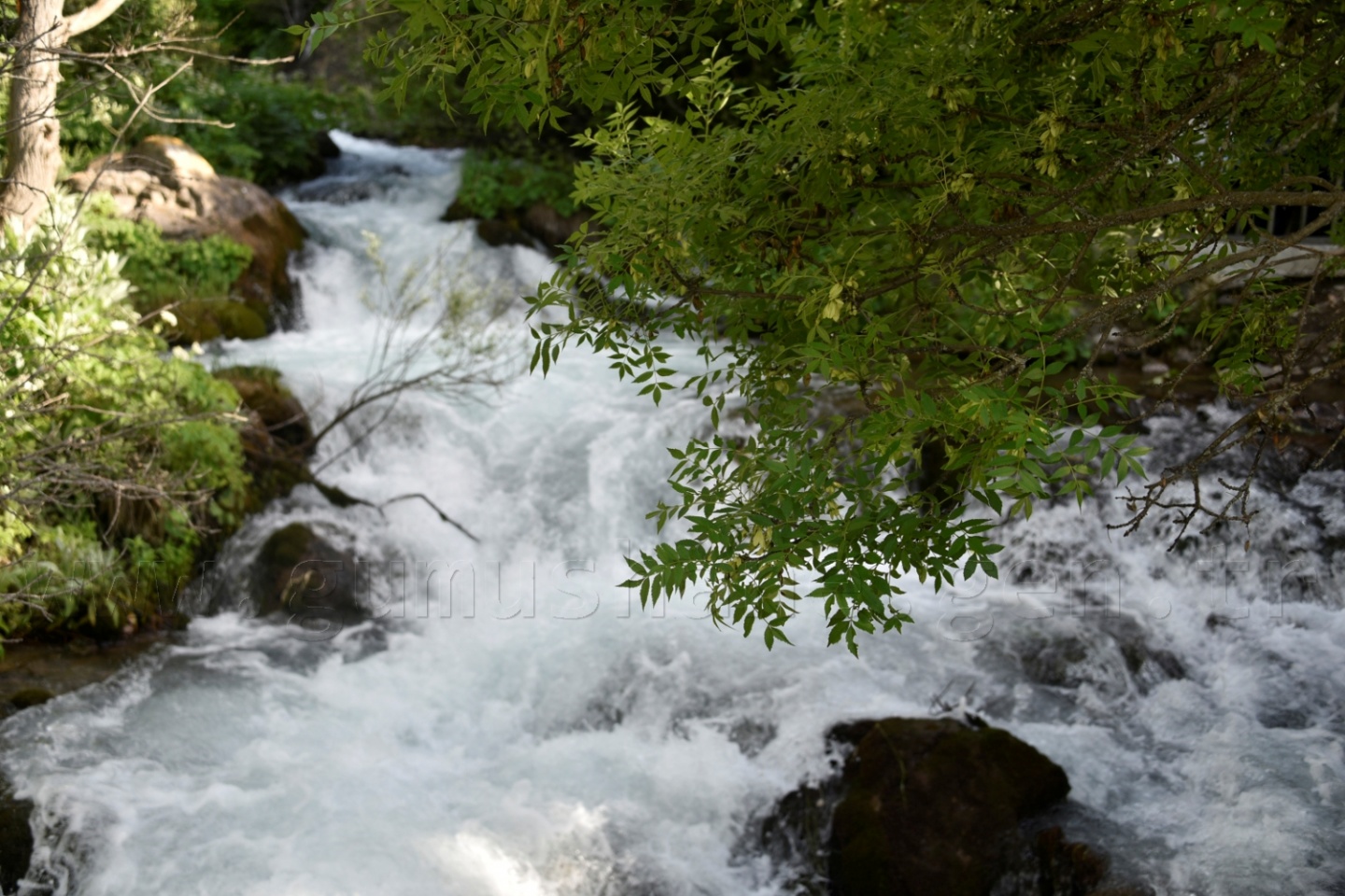 Tomara Şelalesi yeni bir çehre ve vizyon kazandı 38