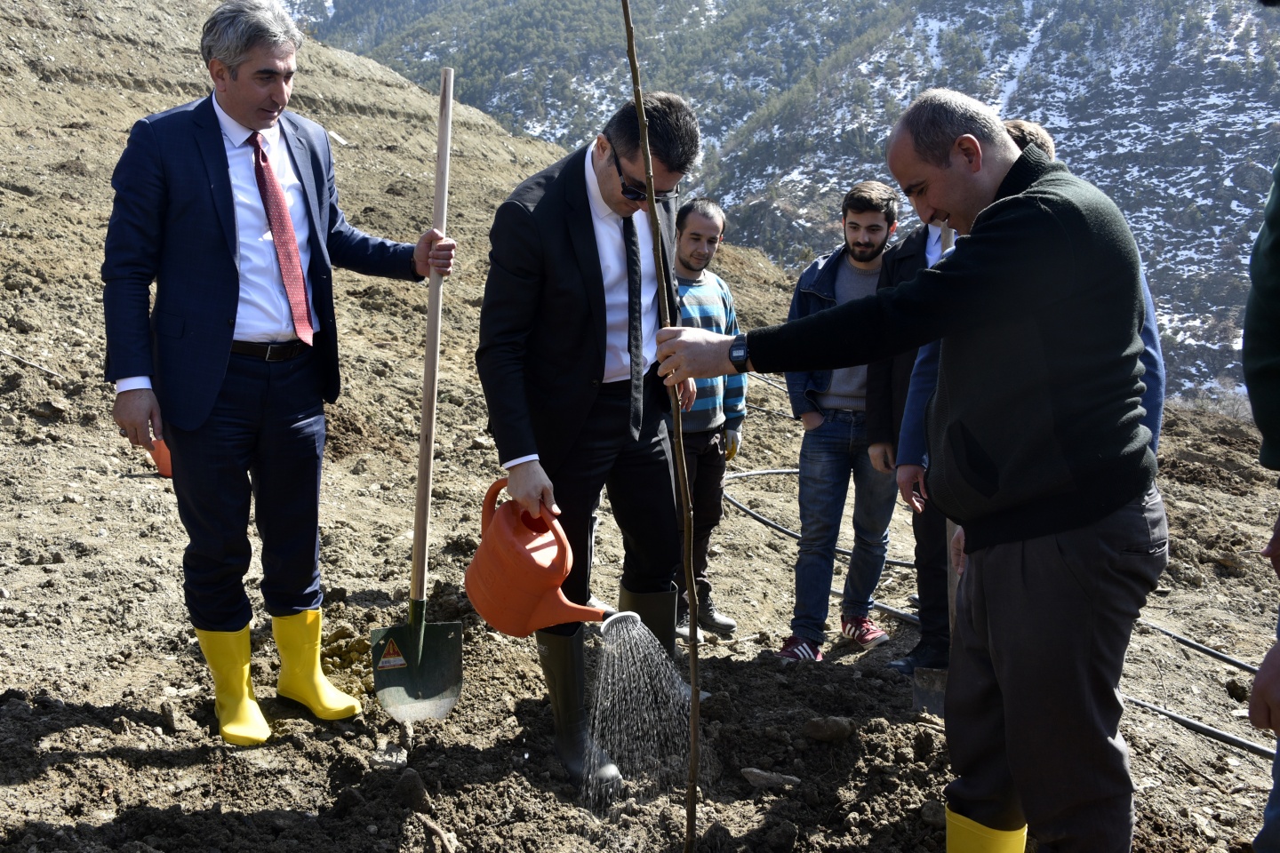 Gümüşhane’de 50 bin ceviz fidanının dağıtımına başlandı 23