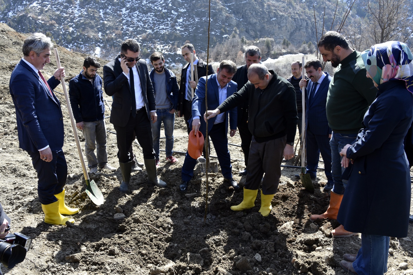 Gümüşhane’de 50 bin ceviz fidanının dağıtımına başlandı 26