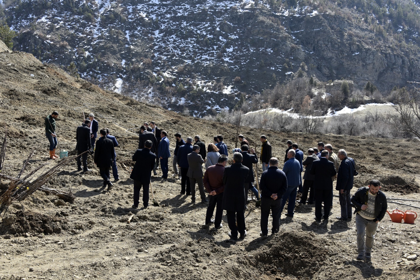 Gümüşhane’de 50 bin ceviz fidanının dağıtımına başlandı 32