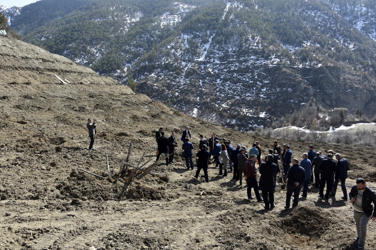 Gümüşhane’de 50 bin ceviz fidanının dağıtımına başlandı 33