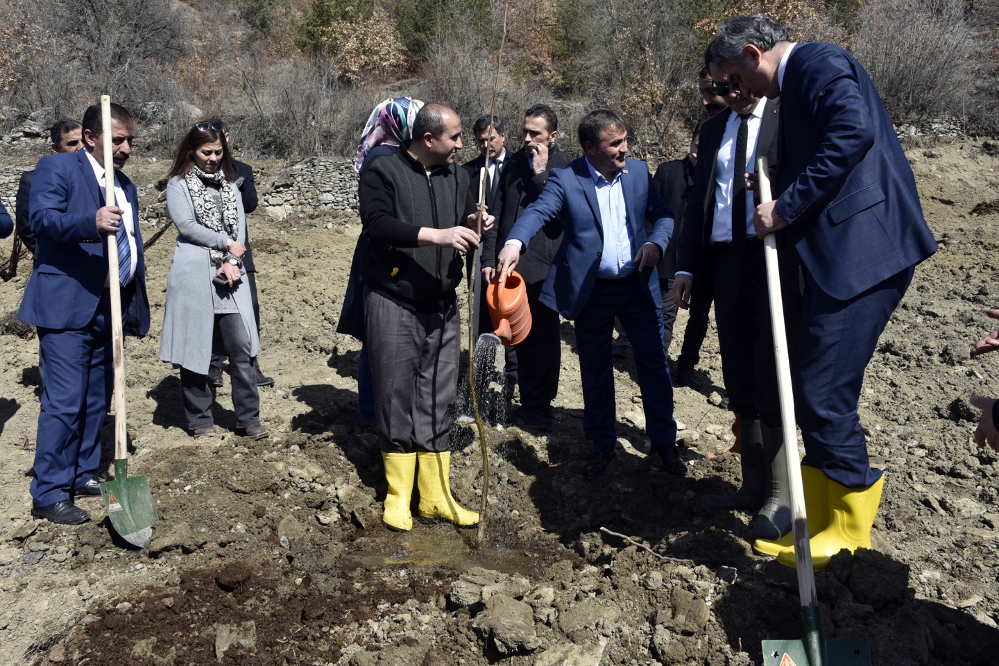 Gümüşhane’de 50 bin ceviz fidanının dağıtımına başlandı 34