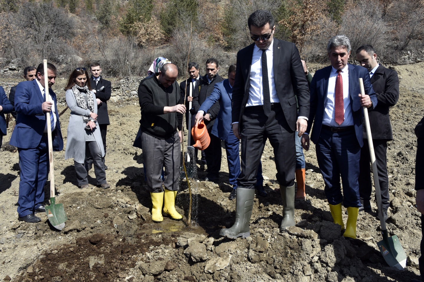 Gümüşhane’de 50 bin ceviz fidanının dağıtımına başlandı 27