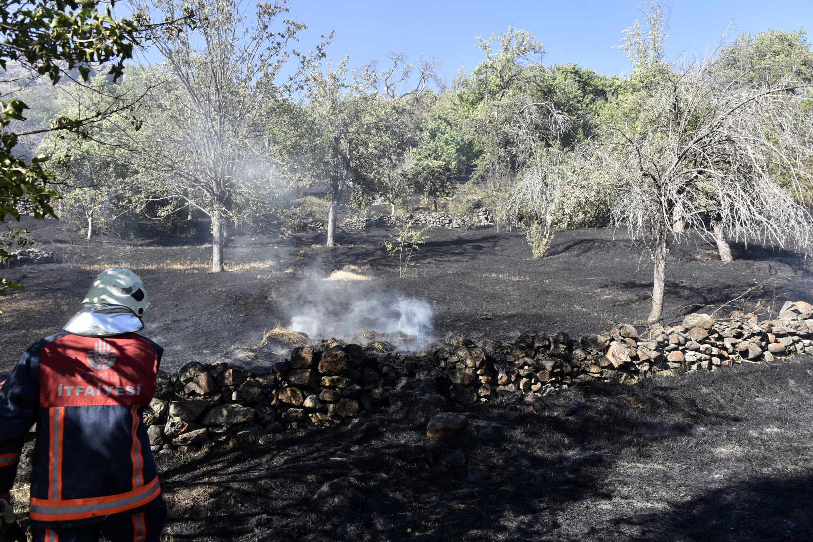 Gümüşhane'deki yangında bahçeler küle döndü 32