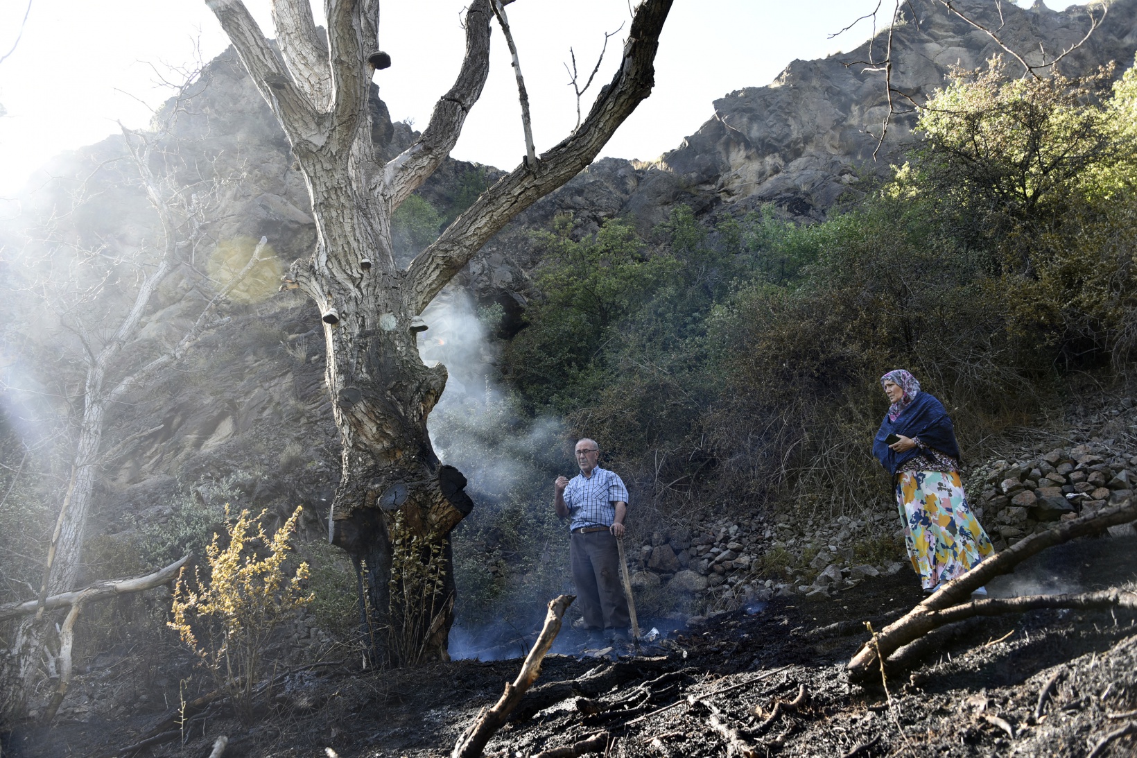 Gümüşhane'deki yangında bahçeler küle döndü 28