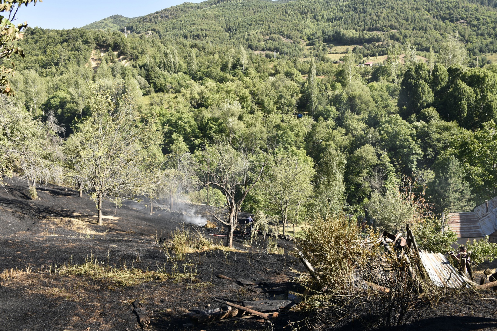Gümüşhane'deki yangında bahçeler küle döndü 38