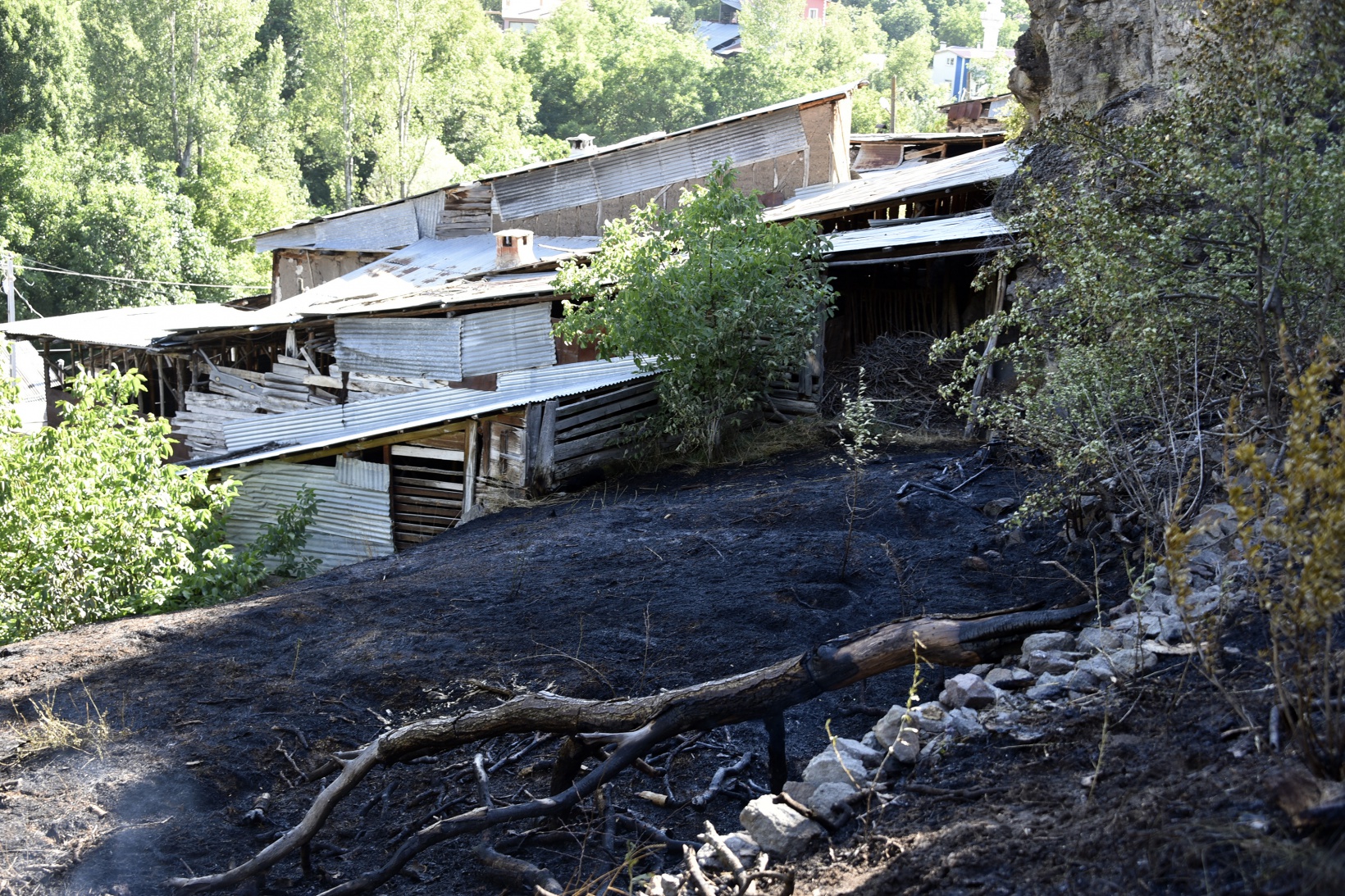Gümüşhane'deki yangında bahçeler küle döndü 33