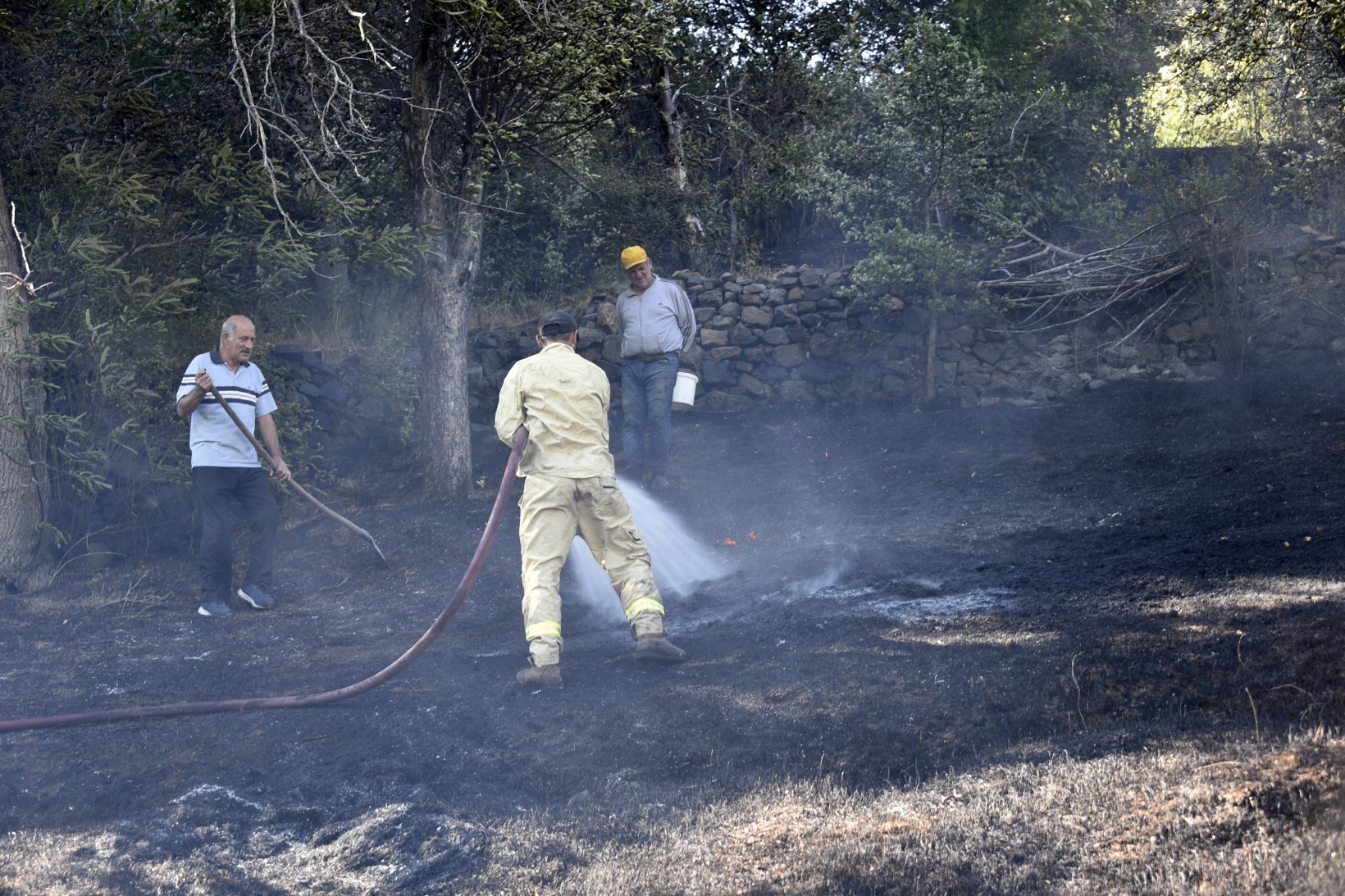 Gümüşhane'deki yangında bahçeler küle döndü 20