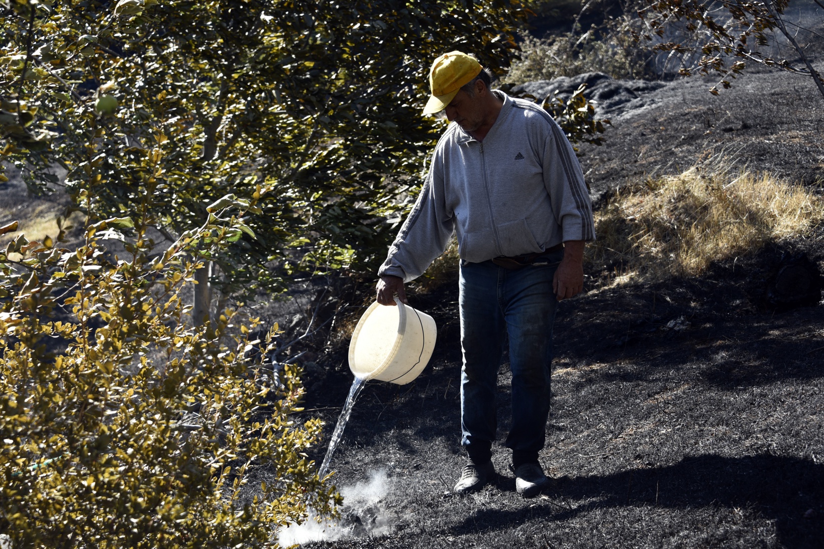 Gümüşhane'deki yangında bahçeler küle döndü 26