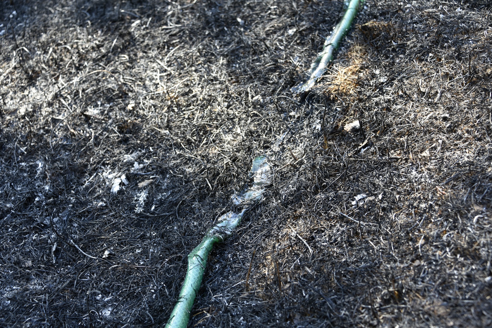 Gümüşhane'deki yangında bahçeler küle döndü 9