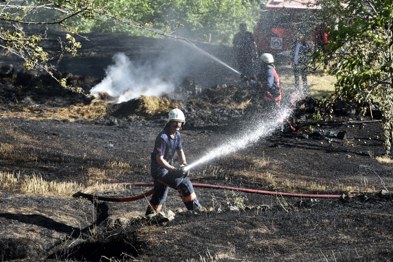 Gümüşhane'deki yangında bahçeler küle döndü 10