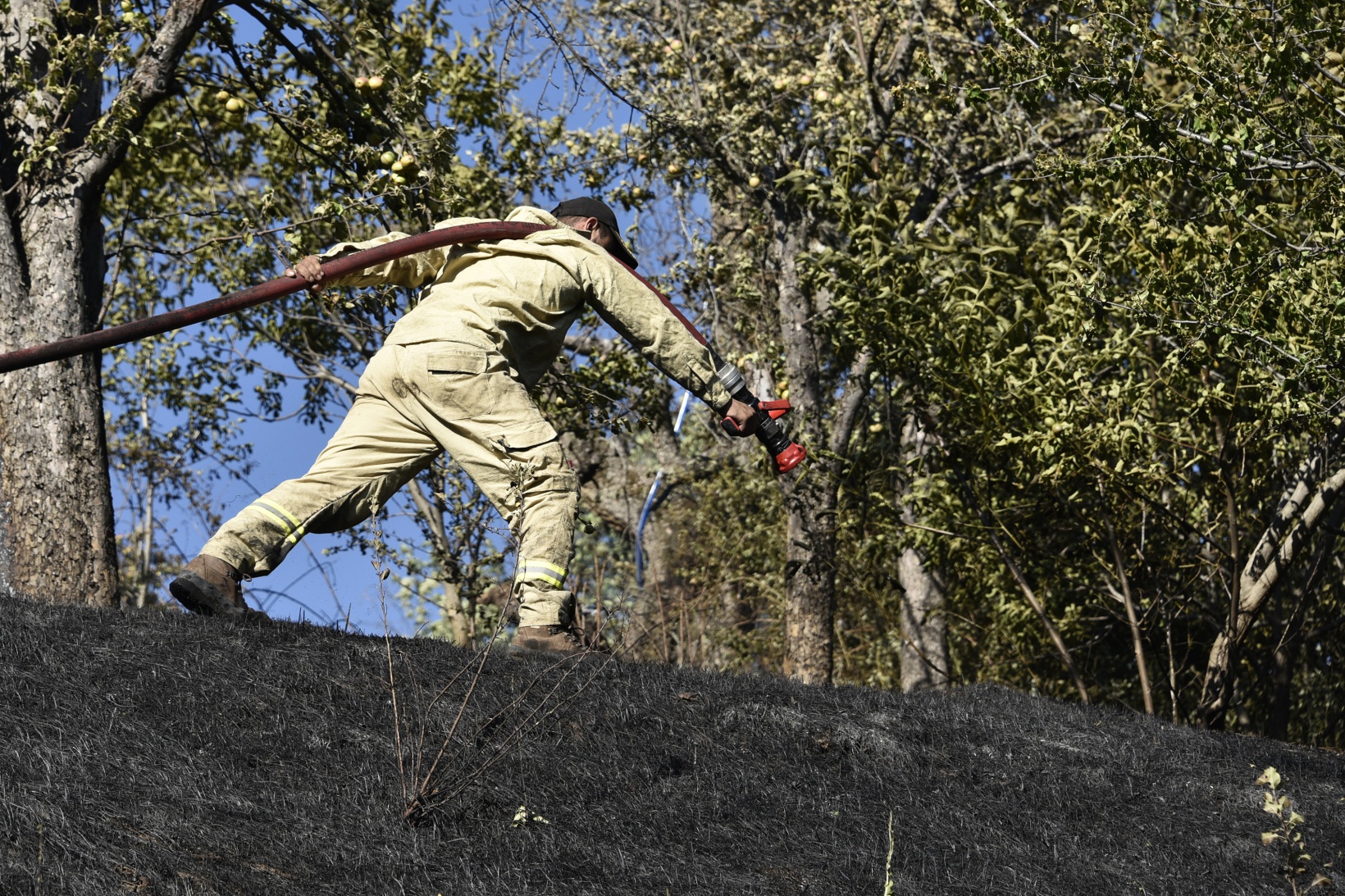 Gümüşhane'deki yangında bahçeler küle döndü 6