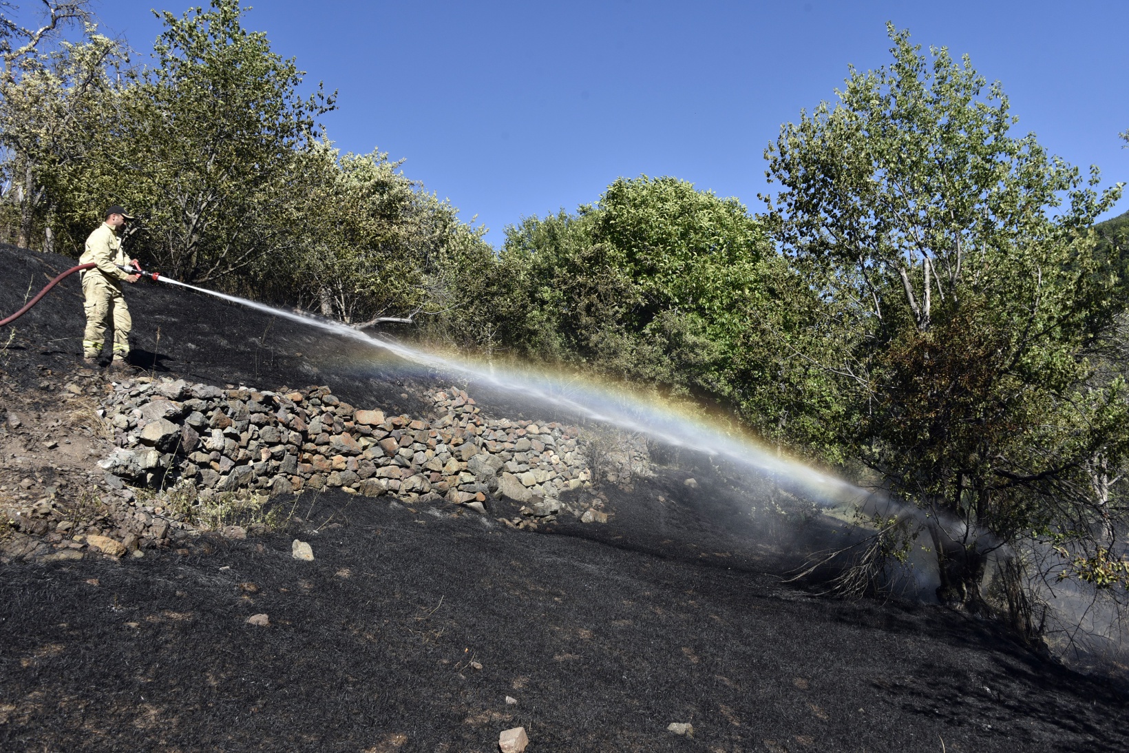 Gümüşhane'deki yangında bahçeler küle döndü 15