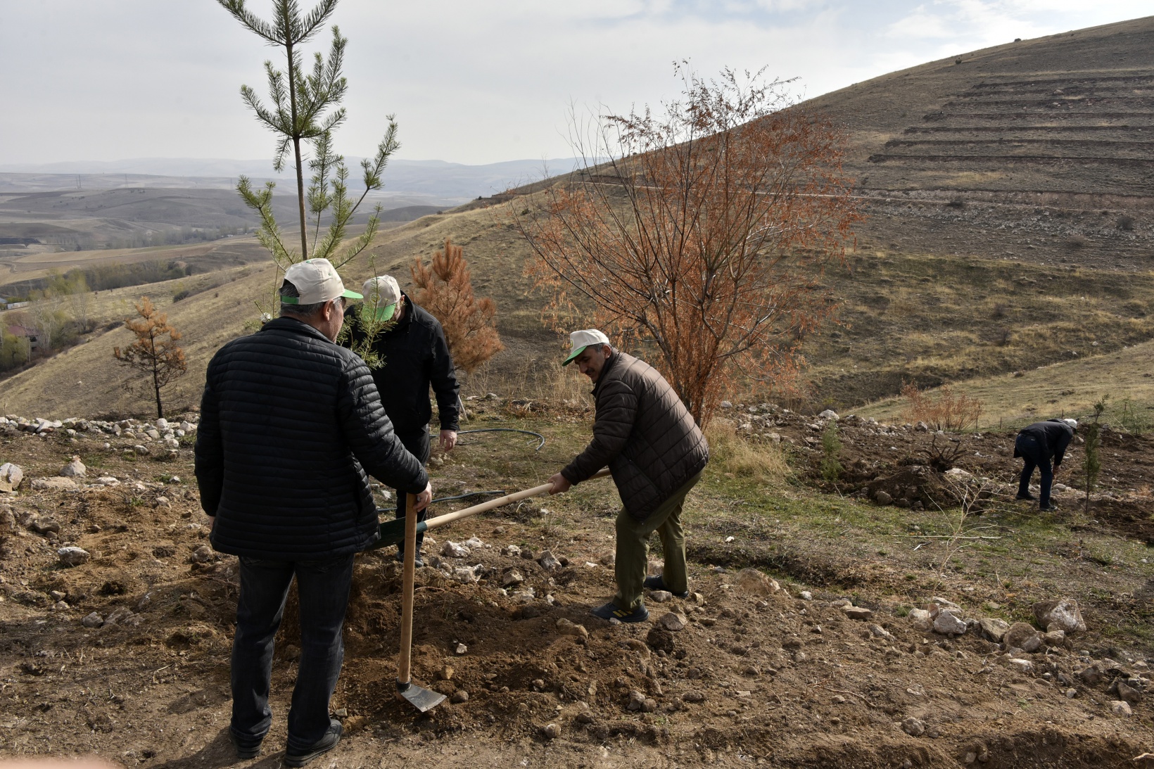 Ömer Dede için 2 bin 23 fidan toprakla buluştu 28