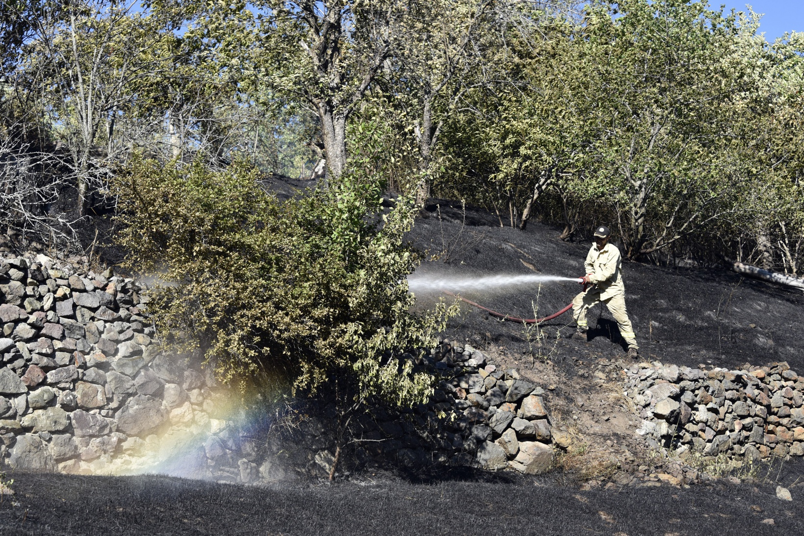 Gümüşhane'deki yangında bahçeler küle döndü 14