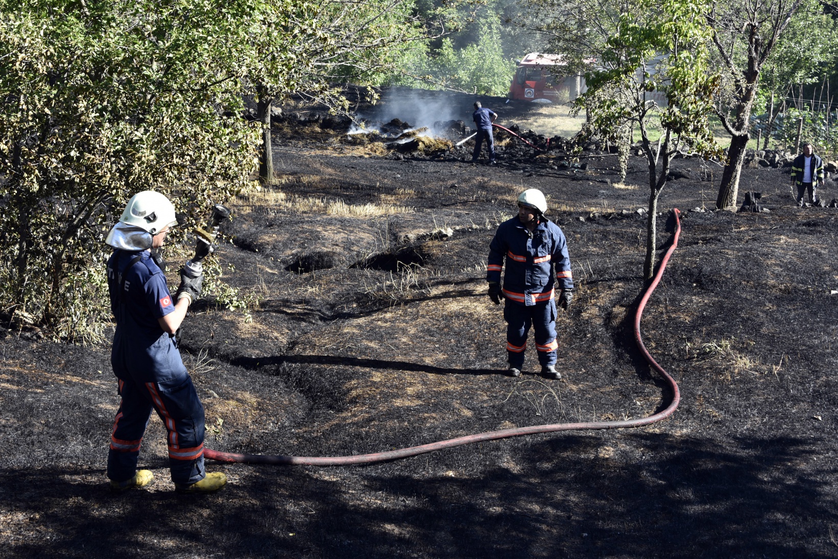 Gümüşhane'deki yangında bahçeler küle döndü 21
