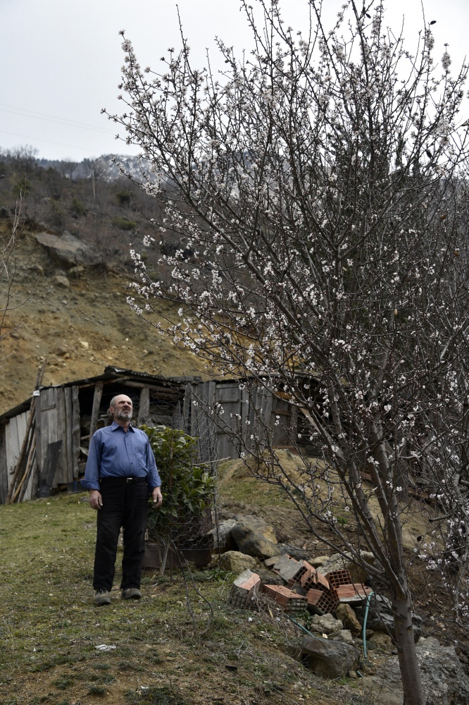 Gümüşhane’de badem ağaçları çiçek açtı 10