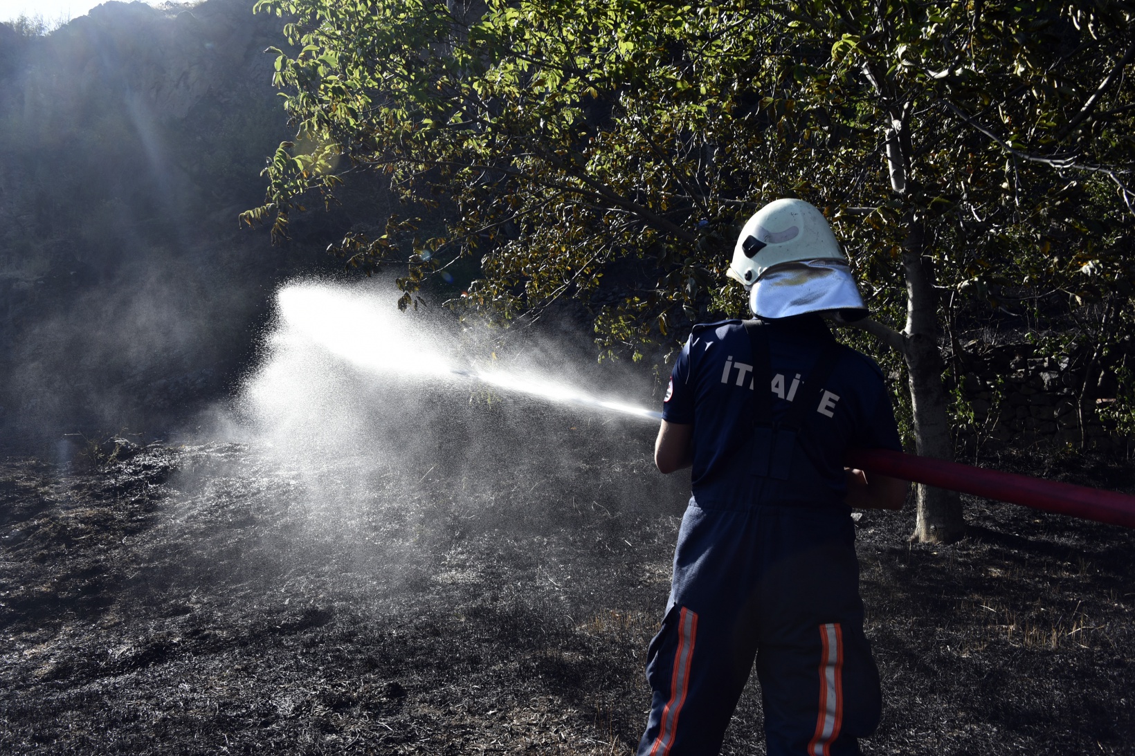 Gümüşhane'deki yangında bahçeler küle döndü 11