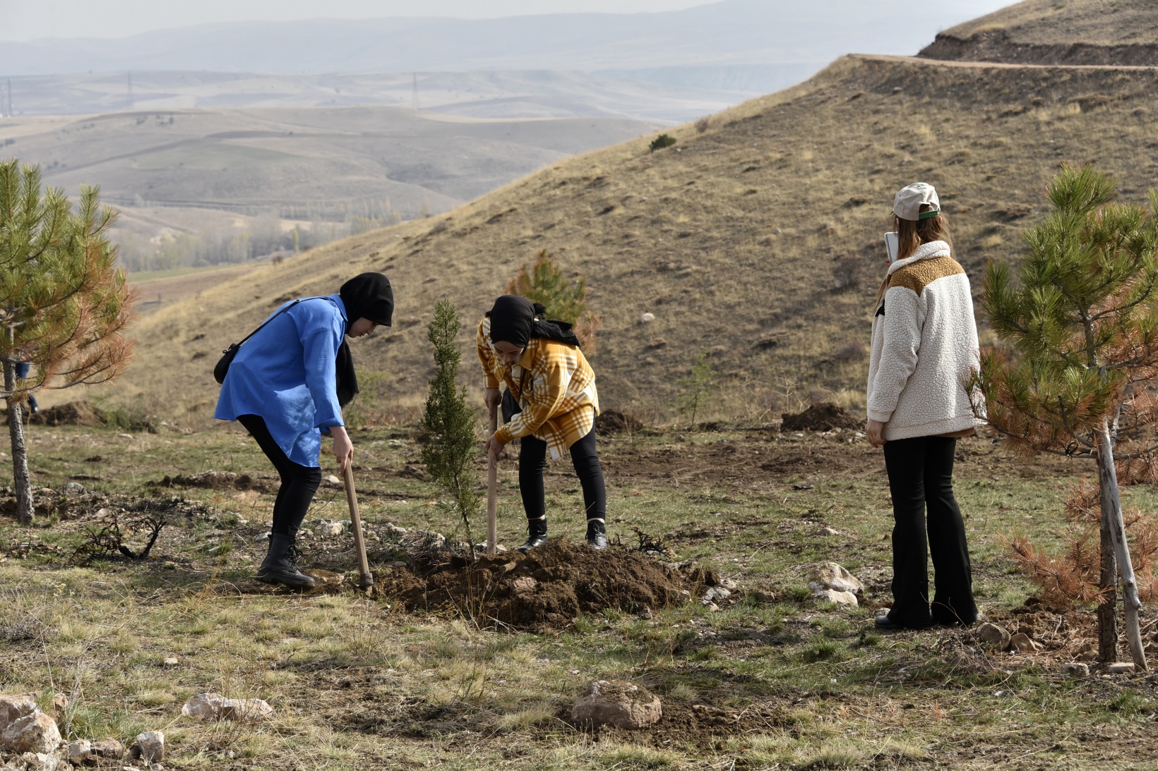 Ömer Dede için 2 bin 23 fidan toprakla buluştu 13
