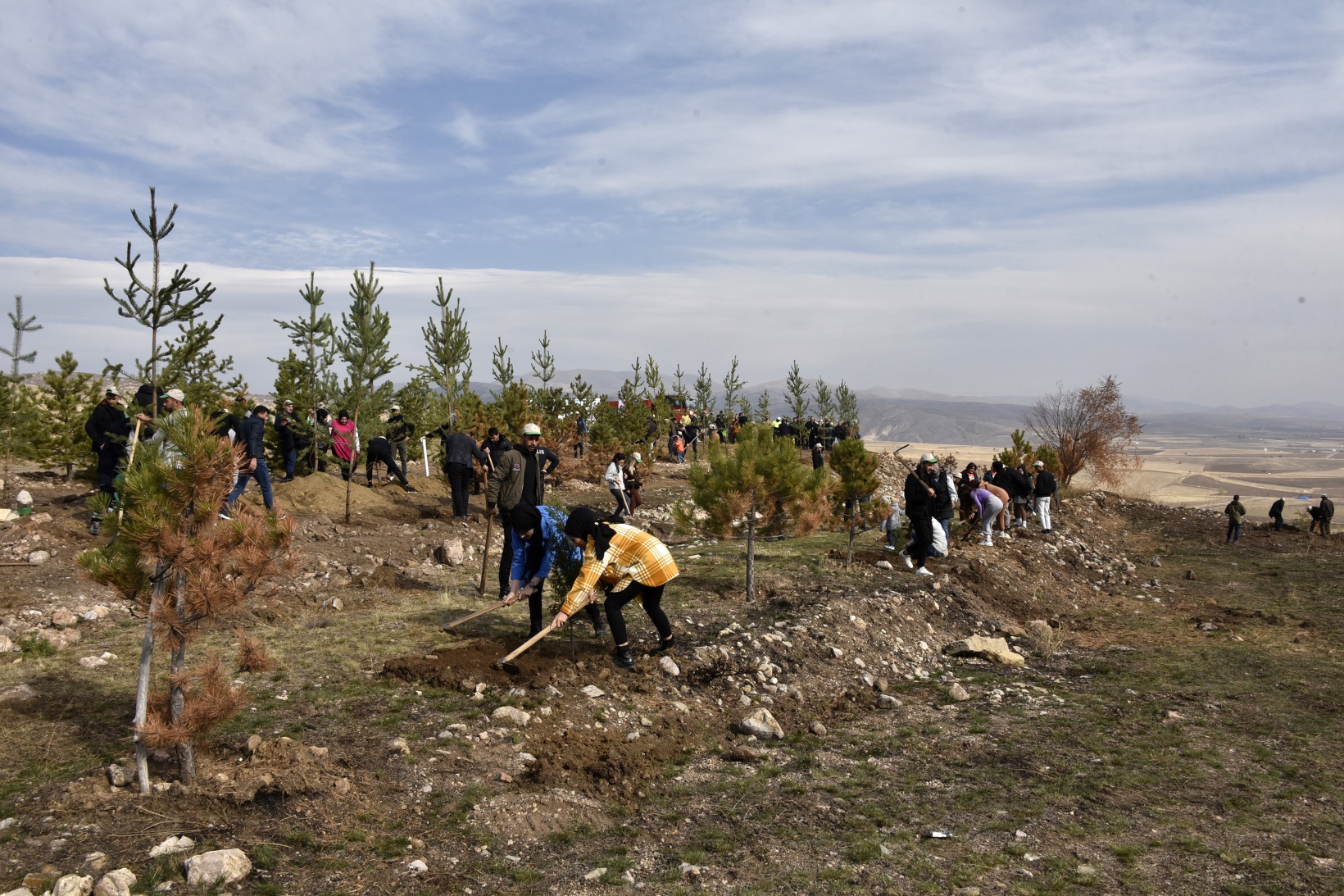 Ömer Dede için 2 bin 23 fidan toprakla buluştu 26