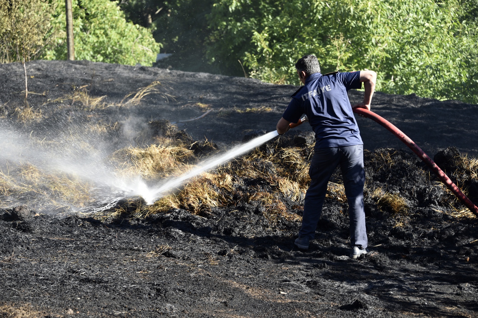 Gümüşhane'deki yangında bahçeler küle döndü 13