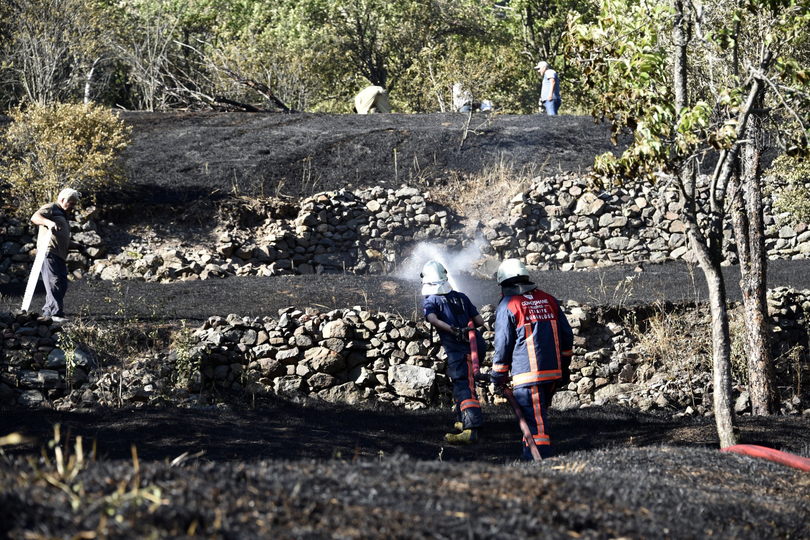 Gümüşhane'deki yangında bahçeler küle döndü 24