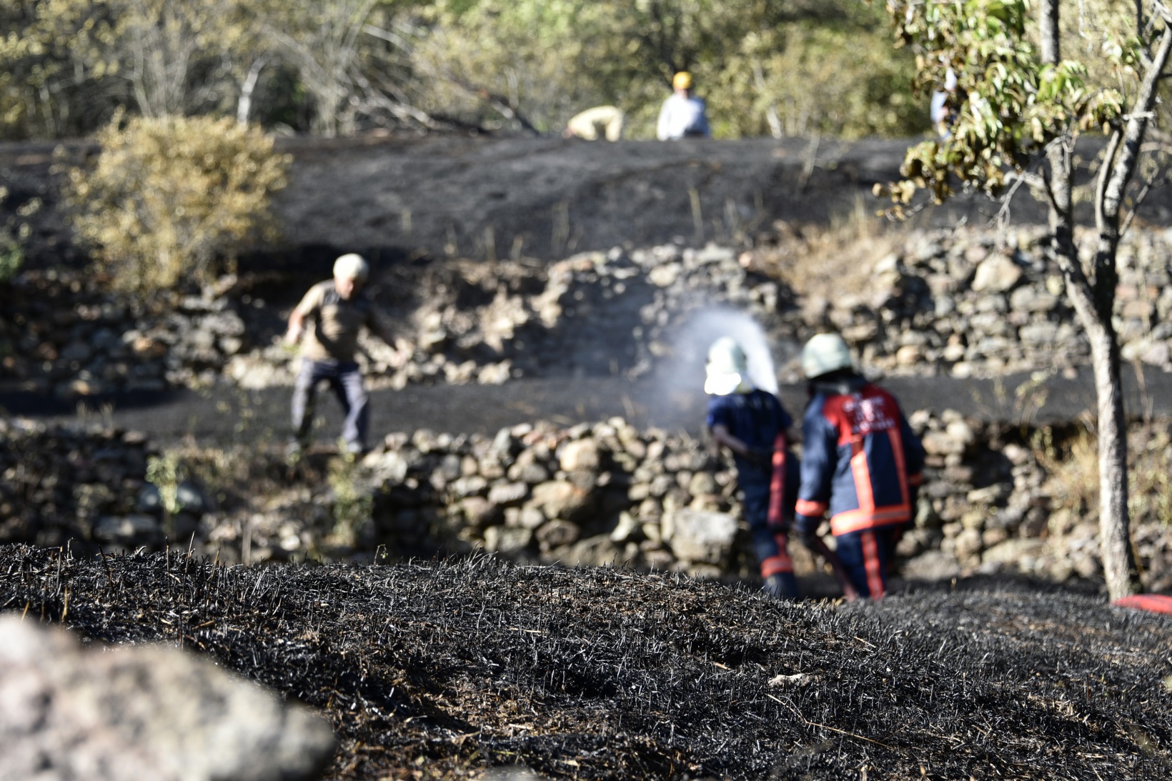 Gümüşhane'deki yangında bahçeler küle döndü 17