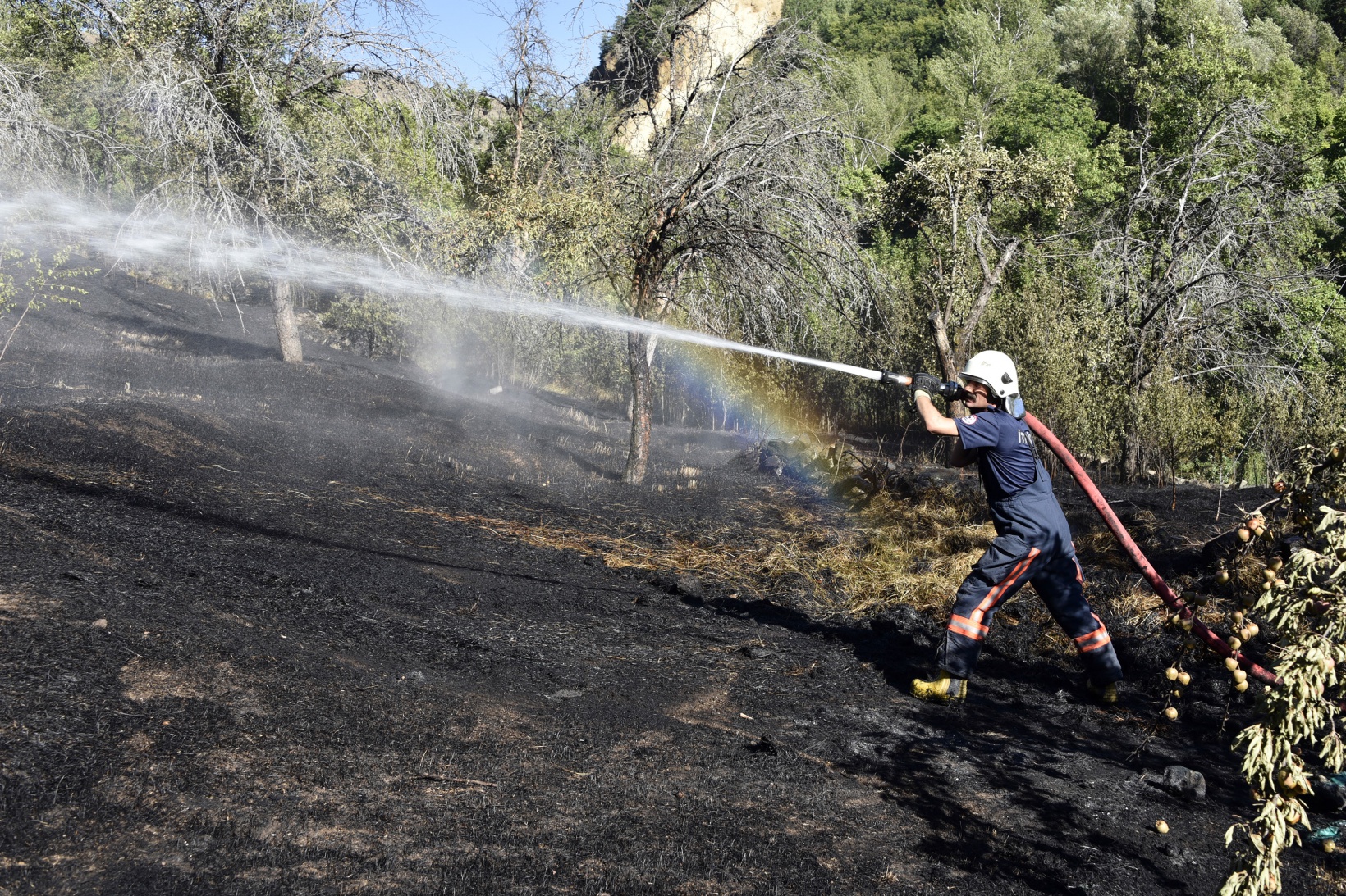 Gümüşhane'deki yangında bahçeler küle döndü 36